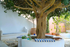 Traditional house in Mitata next to the canyon!